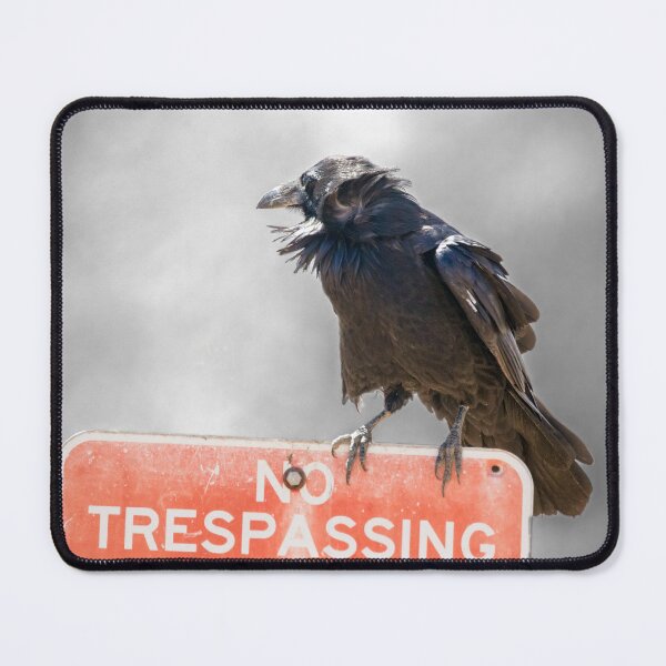 Item preview, Crow Perched on No Trespassing Sign designed and sold by CarolM.