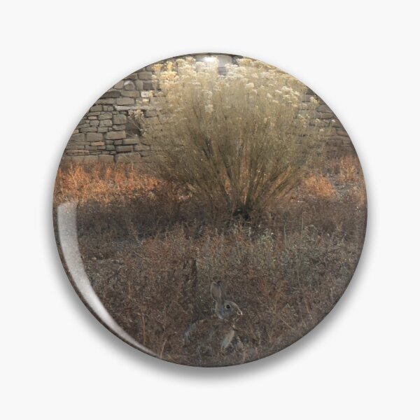 Item preview, Cottontail Rabbit at Aztec Ruins: Crop designed and sold by MangoSeeds.