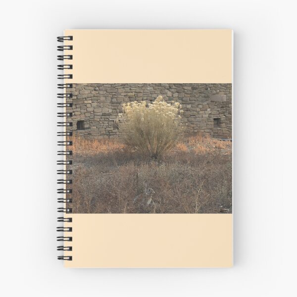 Item preview, Cottontail Rabbit at Aztec Ruins: Crop designed and sold by MangoSeeds.