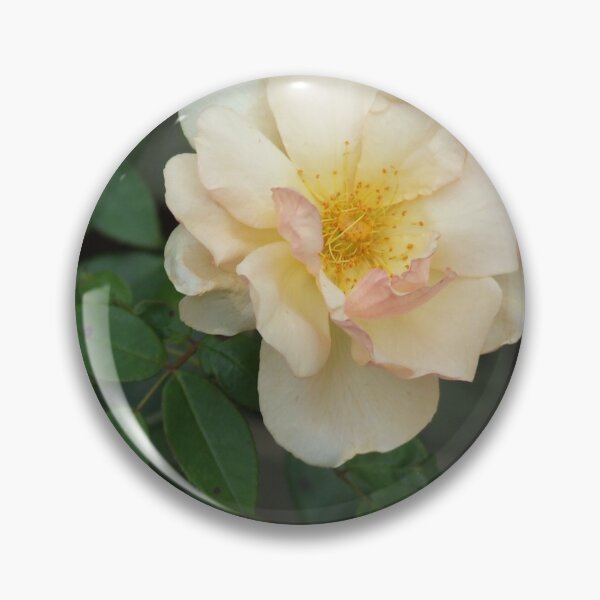 Artikelvorschau, Würde eine Rose unter einem anderen Namen genauso süß wirken? entworfen und verkauft von Giftables.
