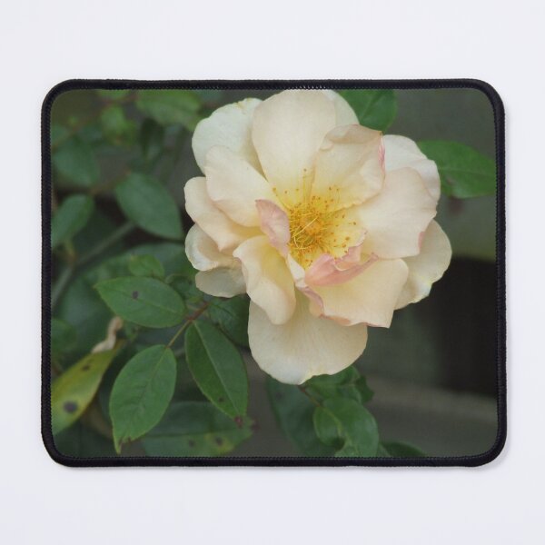 Item preview, Would a Rose By any Other Name Seem as Sweet?  designed and sold by Giftables.