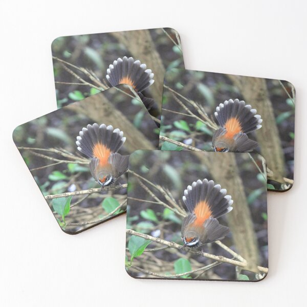 Item preview, Rufous Fantail perched on a branch designed and sold by BirdsAlive.