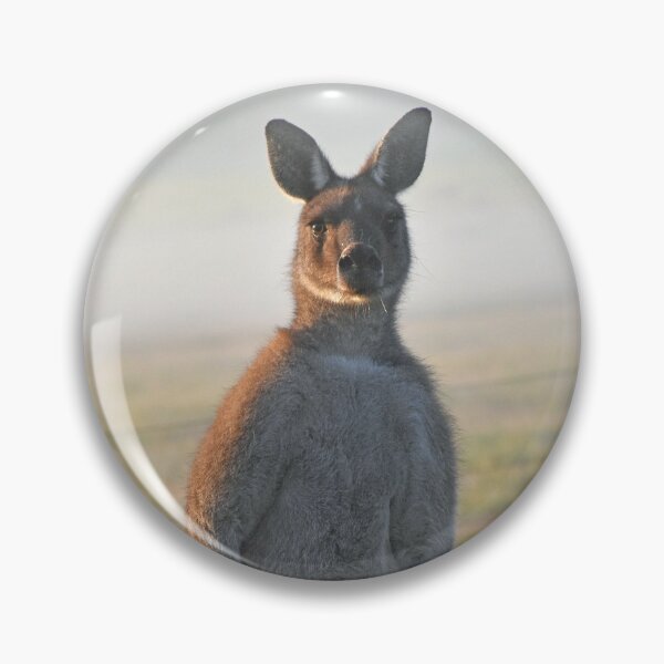 Item preview, Big Man Kangaroo misty morning Busselton, Western Australia designed and sold by Rainbow Farm Photography.