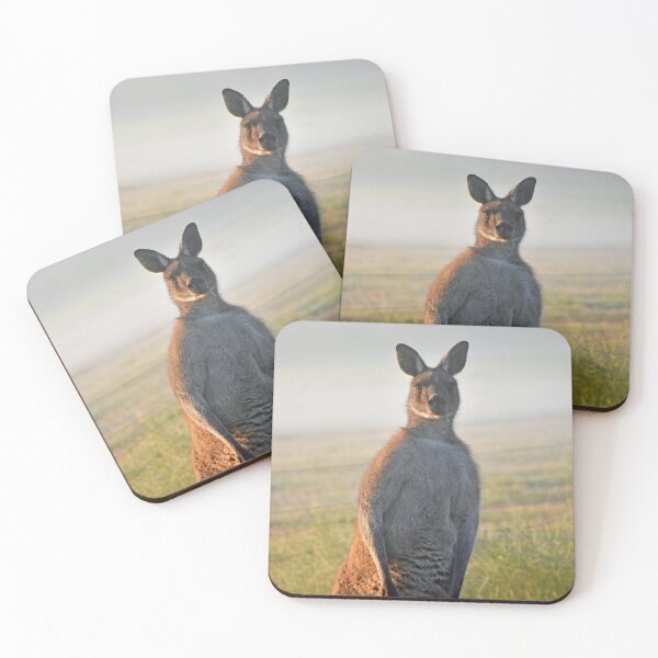 Item preview, Big Man Kangaroo misty morning Busselton, Western Australia designed and sold by Rainbow Farm Photography.