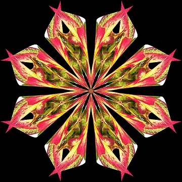 Artwork thumbnail, Colored mandala by Meo Design