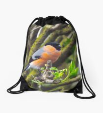 Male bullfinch Drawstring Bag