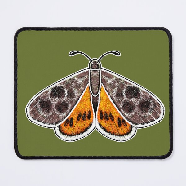 Item preview, "Golden Sun Moth" | Australian Critically Endangered Species designed and sold by LiseHoltArt.
