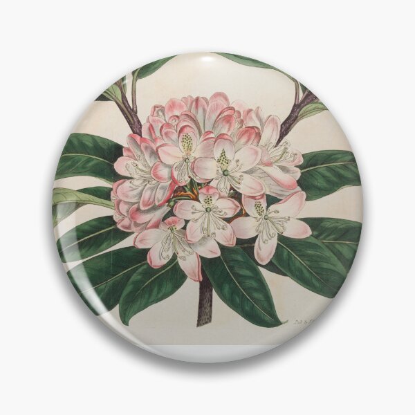 Item preview, A vintage botanical print designed and sold by DeborahLupton.