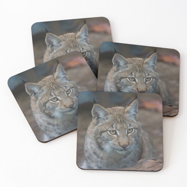 Item preview, Iberian Lynx designed and sold by MalakianViator.