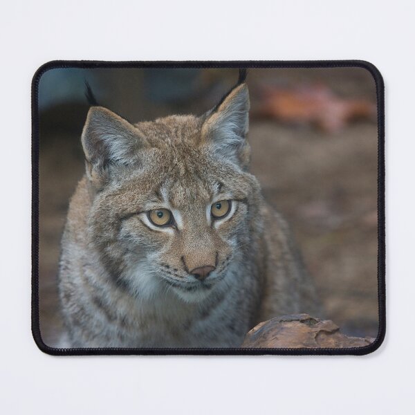 Item preview, Iberian Lynx designed and sold by MalakianViator.