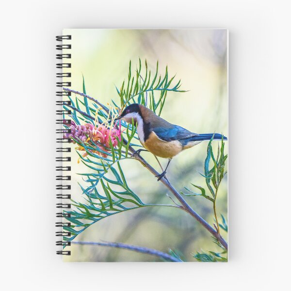 Item preview, Eastern Spinebill in Grevillea designed and sold by Kathie Thomas.