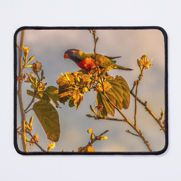 Item preview, Looking at YOU designed and sold by shadowlea.