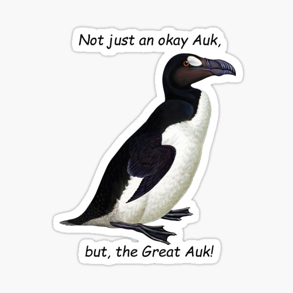 Item preview, not an okay Auk, but the Great Auk designed and sold by Kestrelle.