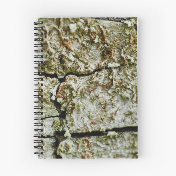 Item preview, Bark Detail designed and sold by Eidetic Photos.