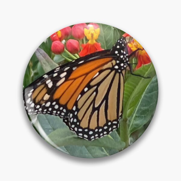 Item preview, Monarch Butterfly on Milkweed designed and sold by BearFootStudios.