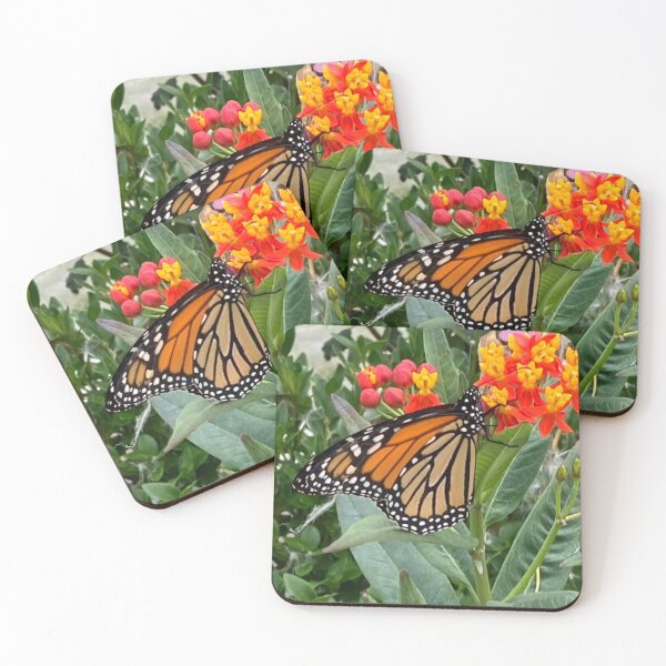 Item preview, Monarch Butterfly on Milkweed designed and sold by BearFootStudios.