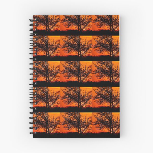 Item preview, Fiery sunset designed and sold by Frank Parisi.