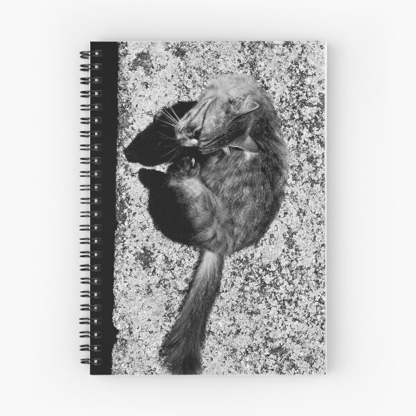 Item preview, scratching cat designed and sold by the Curious Dude.