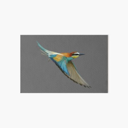 Kingfisher in flight Art Board Print