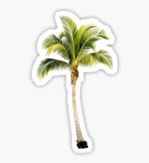 Palm Tree Sticker