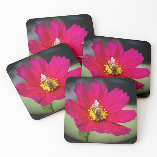 Item preview, Honeybee on a cosmos flower  designed and sold by McFleur's Lens.