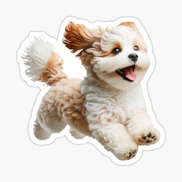 Item preview, Cavachon designed and sold by HappyDogPark.