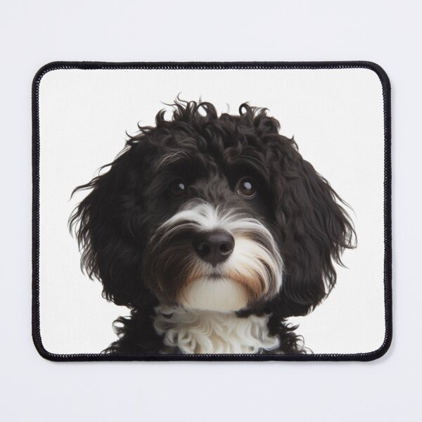 Item preview, Black and White Cockapoo, Black and White Doodle designed and sold by LittleRedDogArt.