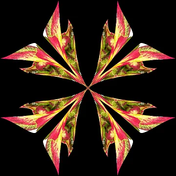 Artwork thumbnail, Abstract floral pattern by Meo Design