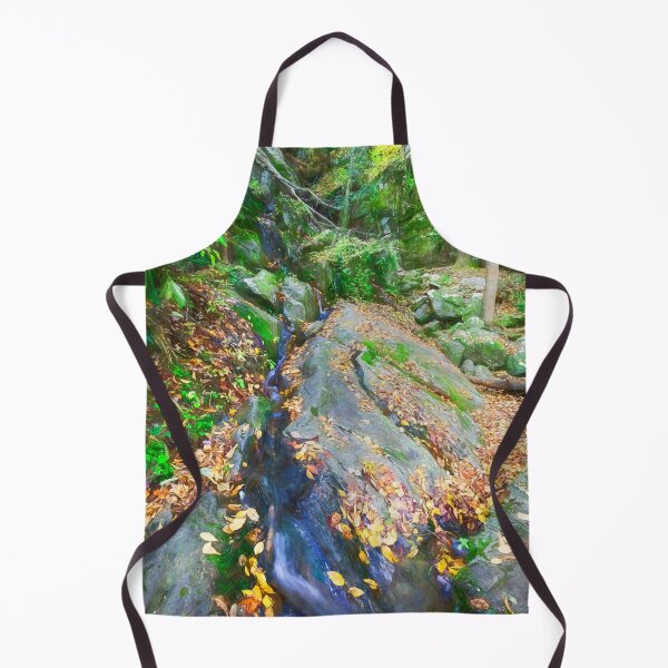 Item preview, Waterfalls Fall Foliage Great Smoky Mountains X124 designed and sold by RichFrancoCars.