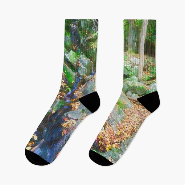 Item preview, Waterfalls Fall Foliage Great Smoky Mountains X124 designed and sold by RichFrancoCars.
