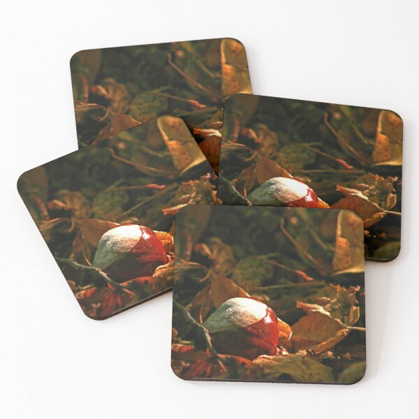 Item preview, Conker in the Leaves designed and sold by Murph's Images.
