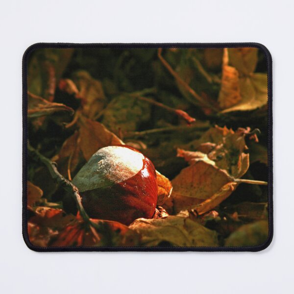 Item preview, Conker in the Leaves designed and sold by Murph's Images.