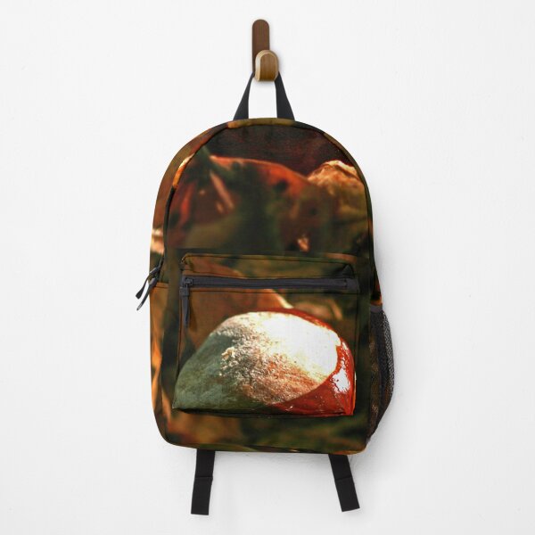Item preview, Conker in the Leaves designed and sold by Murph's Images.