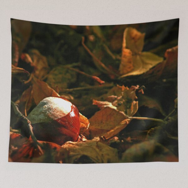Item preview, Conker in the Leaves designed and sold by Murph's Images.