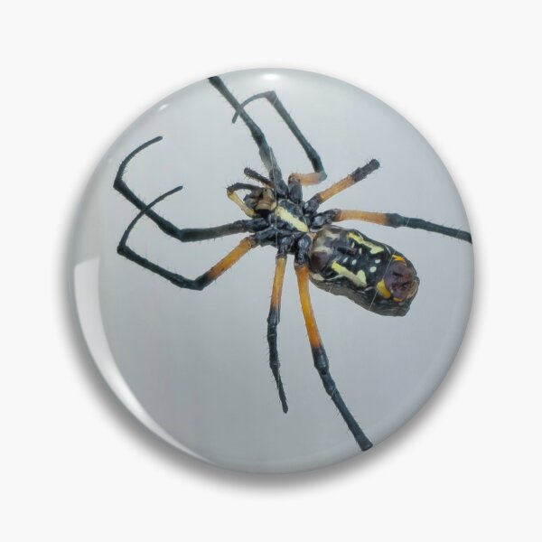 Item preview, Garden spider hard at work designed and sold by Shoppinmammaj.