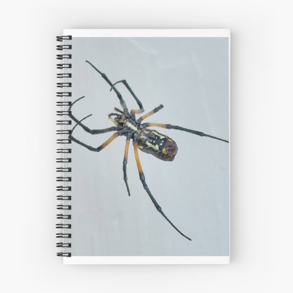 Item preview, Garden spider hard at work designed and sold by Shoppinmammaj.