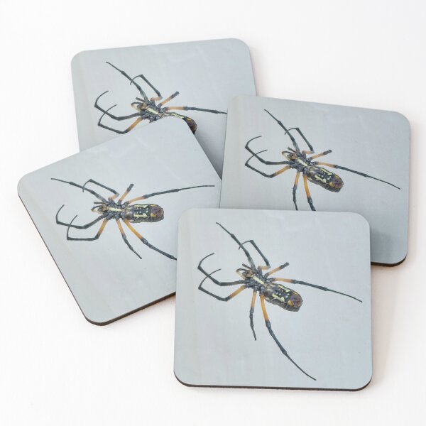 Item preview, Garden spider hard at work designed and sold by Shoppinmammaj.