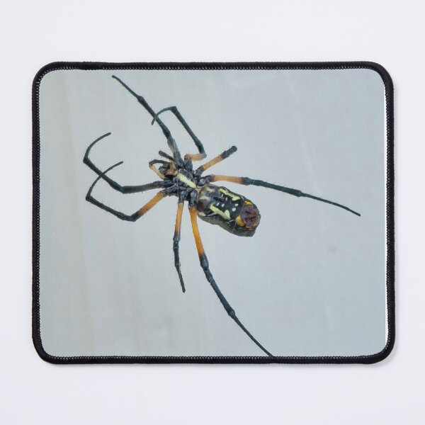 Item preview, Garden spider hard at work designed and sold by Shoppinmammaj.