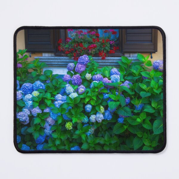 Item preview, Blue Hydrangeas - Red Geraniums designed and sold by Viv Thompson Photography .