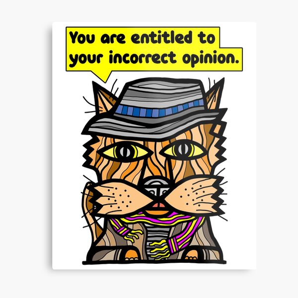 "You are entitled to your incorrect opinion." Metal Print