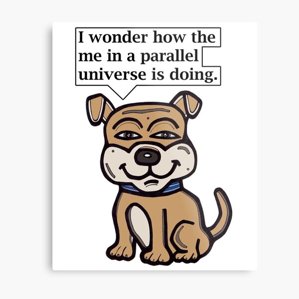 "I wonder how the me in a parallel universe is doing." Metal Print