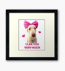 LAB YOU Framed Print