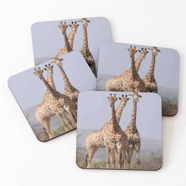 Artikelvorschau, Giraffen in freier Wildbahn entworfen und verkauft von Zoozwear Apparel.