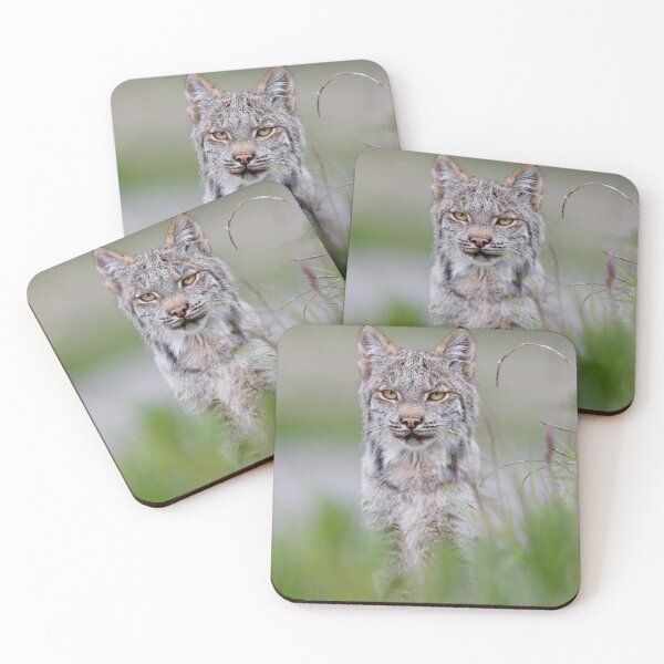 Item preview, Lynx designed and sold by Zoozwear Apparel.