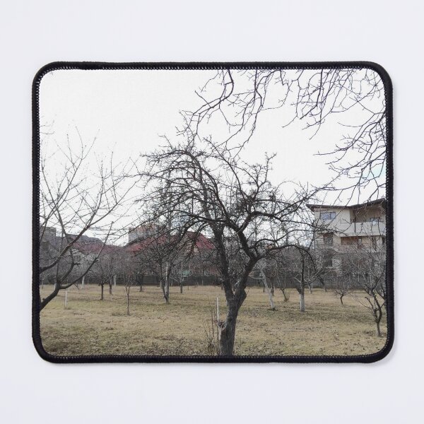 Item preview, Cherry Trees in Winter (portrait view) designed and sold by Alex Roman.
