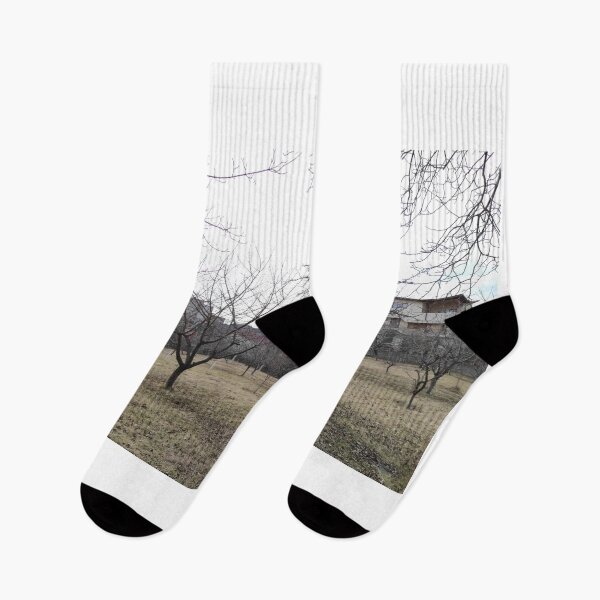 Item preview, Cherry Trees in Winter (landscape view) designed and sold by Alex Roman.