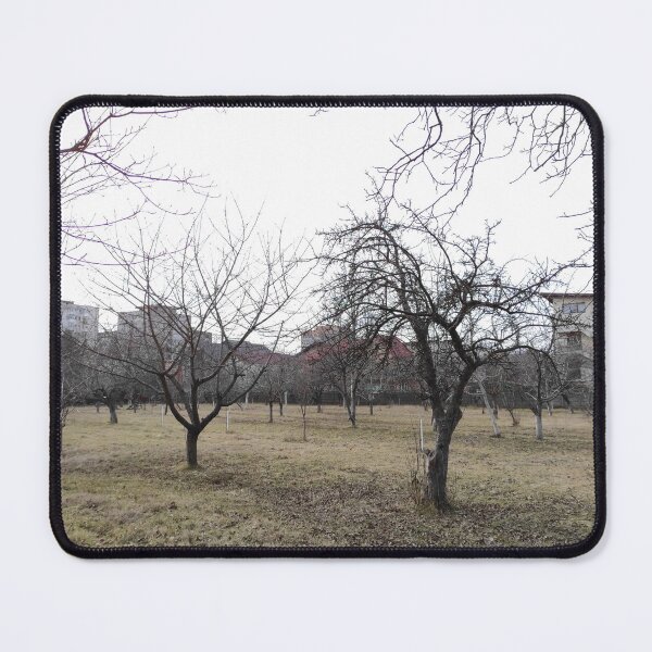 Item preview, Cherry Trees in Winter (landscape view) designed and sold by Alex Roman.