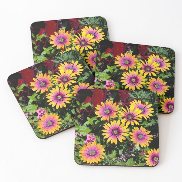Item preview, Multi-colored African Daisies designed and sold by Paul Morse.