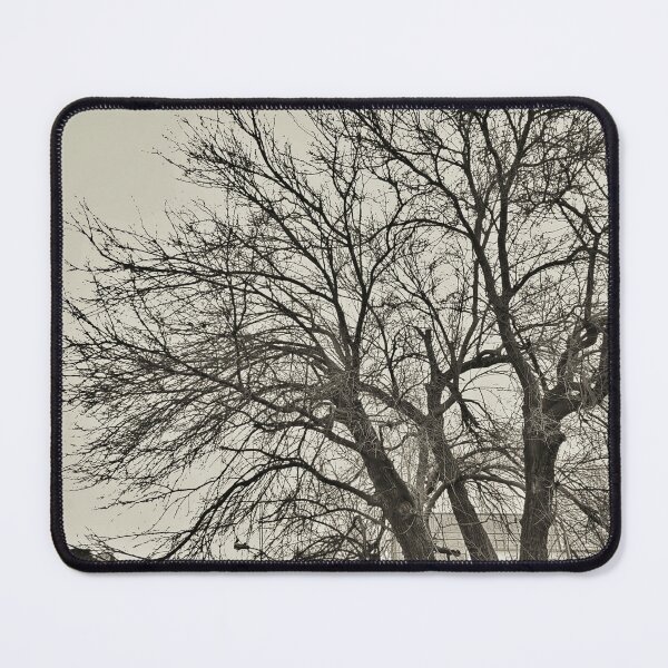 Item preview, Leafless Tree Against The Sky (Black And White) designed and sold by Alex Roman.