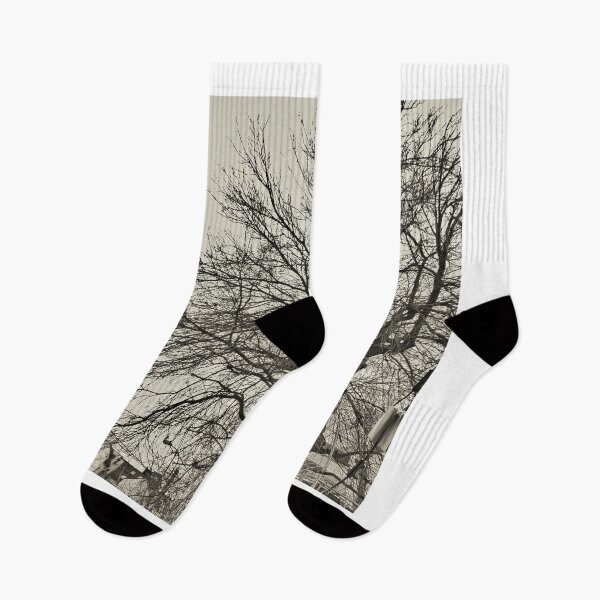 Item preview, Leafless Tree Against The Sky (Black And White) designed and sold by Alex Roman.